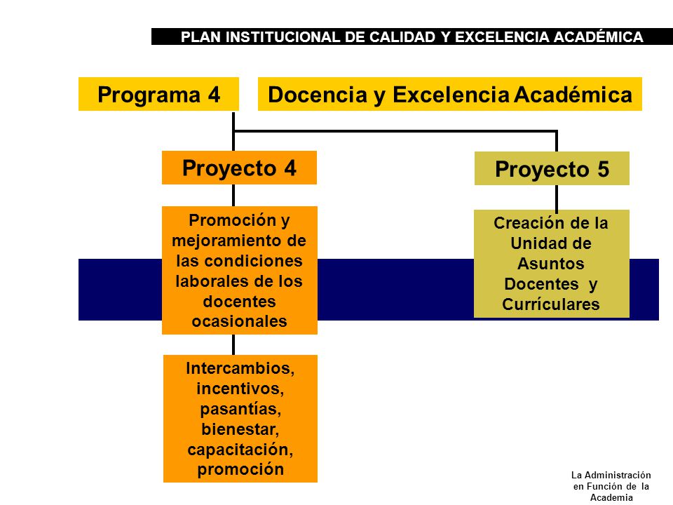 Programa 4 Docencia y Excelencia Académica Proyecto 4 Proyecto 5