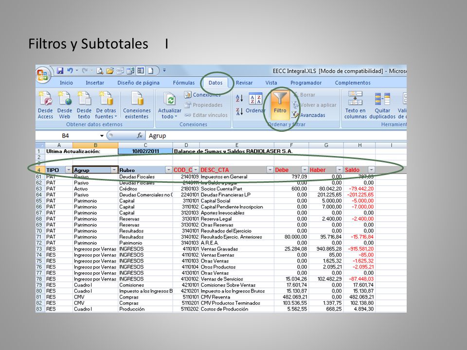 Filtros y Subtotales I Como le coloco filtros a la base de datos