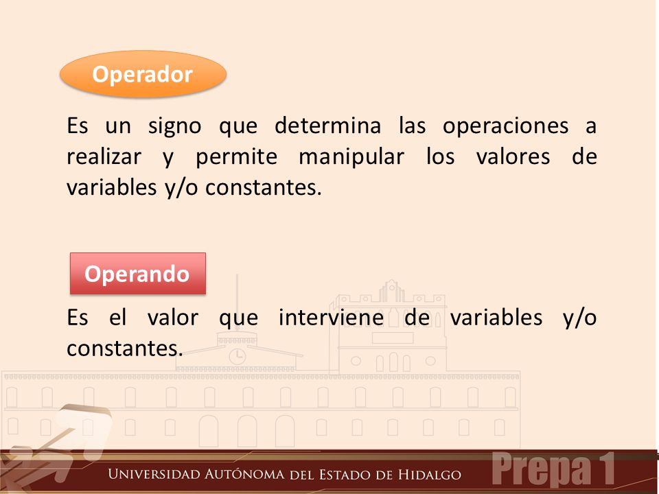 Operador Es un signo que determina las operaciones a realizar y permite manipular los valores de variables y/o constantes.