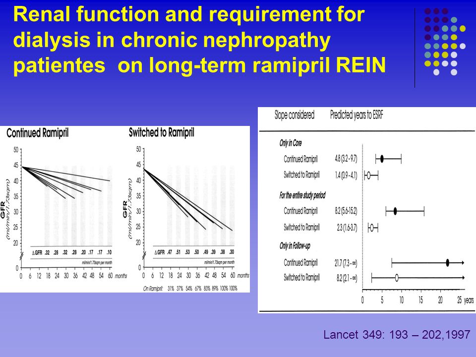 Renal function and requirement for dialysis in chronic nephropathy patientes on long-term ramipril REIN