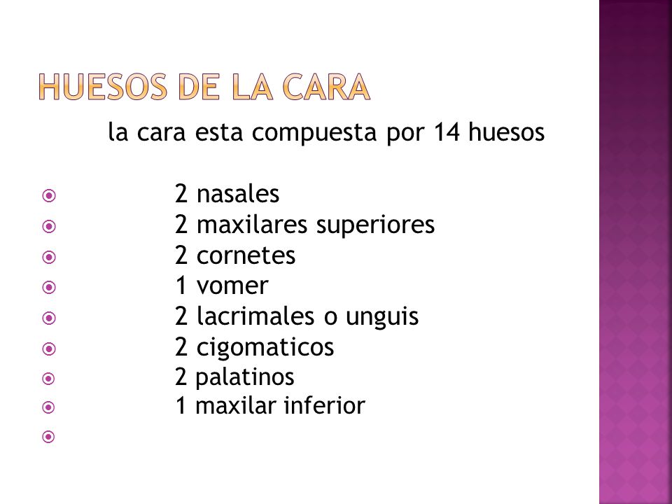 HUESOS DE LA CARA la cara esta compuesta por 14 huesos 2 nasales