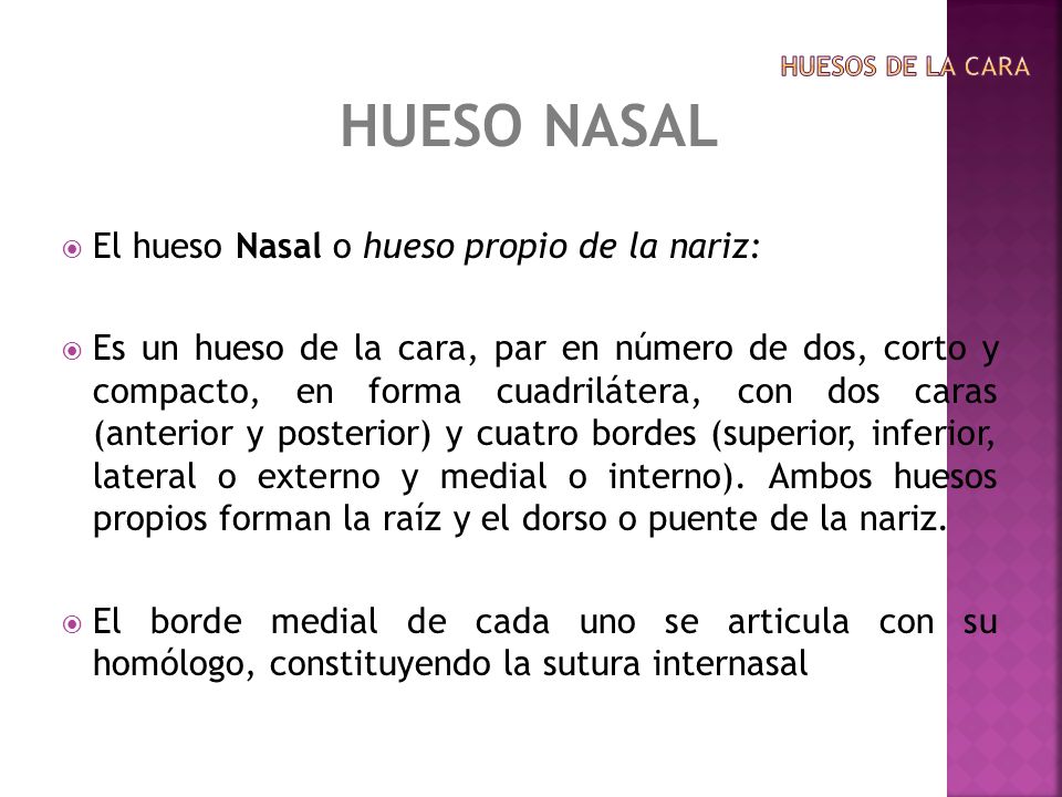 HUESO NASAL El hueso Nasal o hueso propio de la nariz: