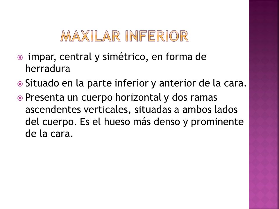 Maxilar inferior impar, central y simétrico, en forma de herradura