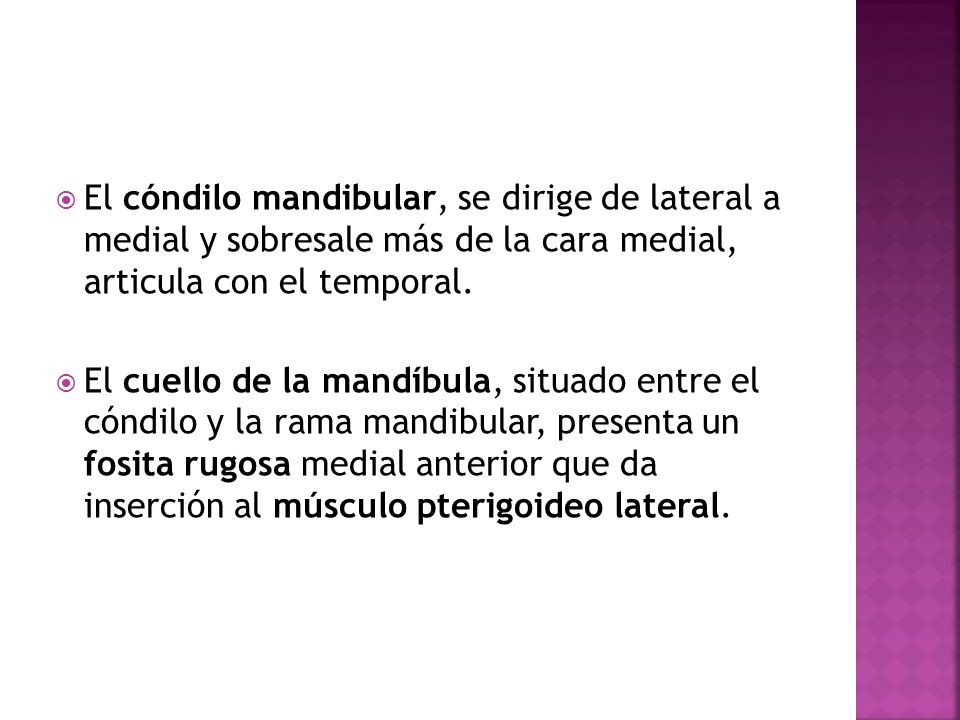El cóndilo mandibular, se dirige de lateral a medial y sobresale más de la cara medial, articula con el temporal.