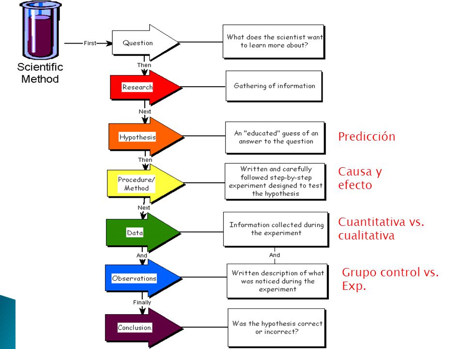 Predicción Causa y efecto Cuantitativa vs. cualitativa Grupo control vs. Exp.