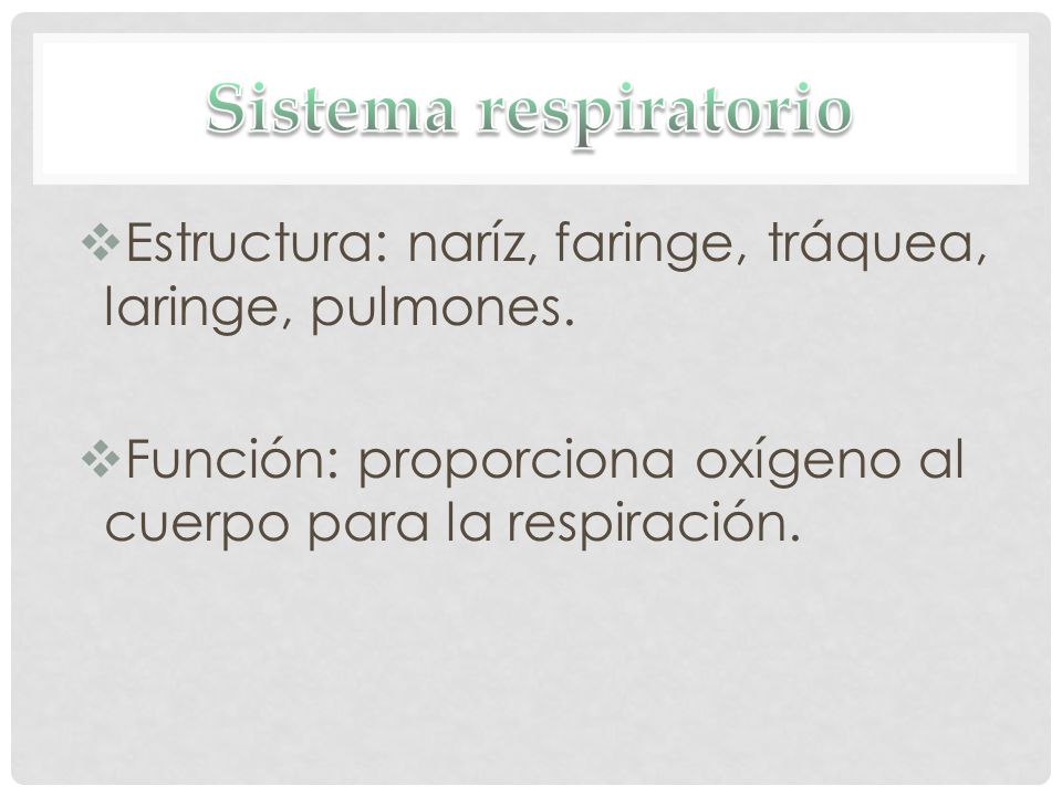 Sistema respiratorio Estructura: naríz, faringe, tráquea, laringe, pulmones.