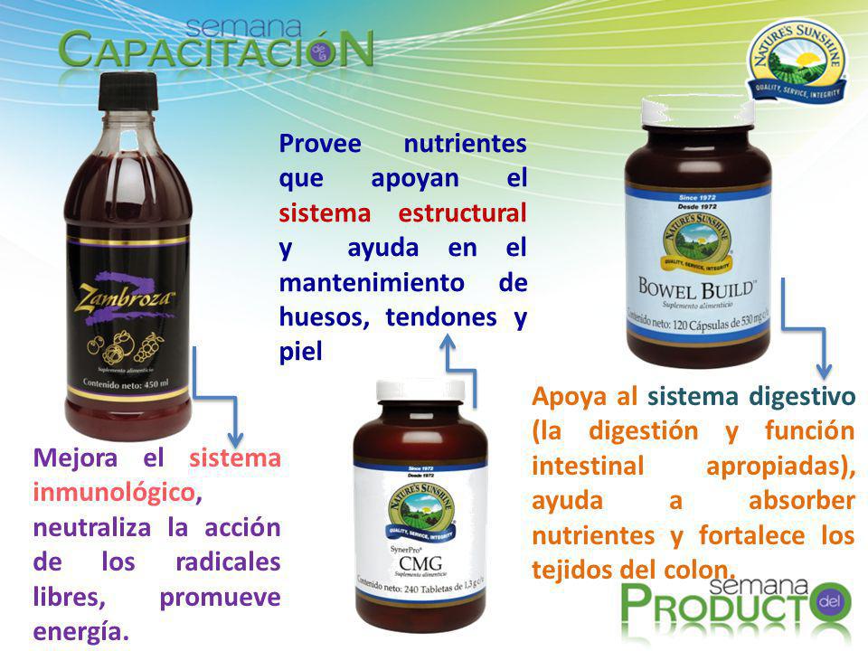 Provee nutrientes que apoyan el sistema estructural y ayuda en el mantenimiento de huesos, tendones y piel