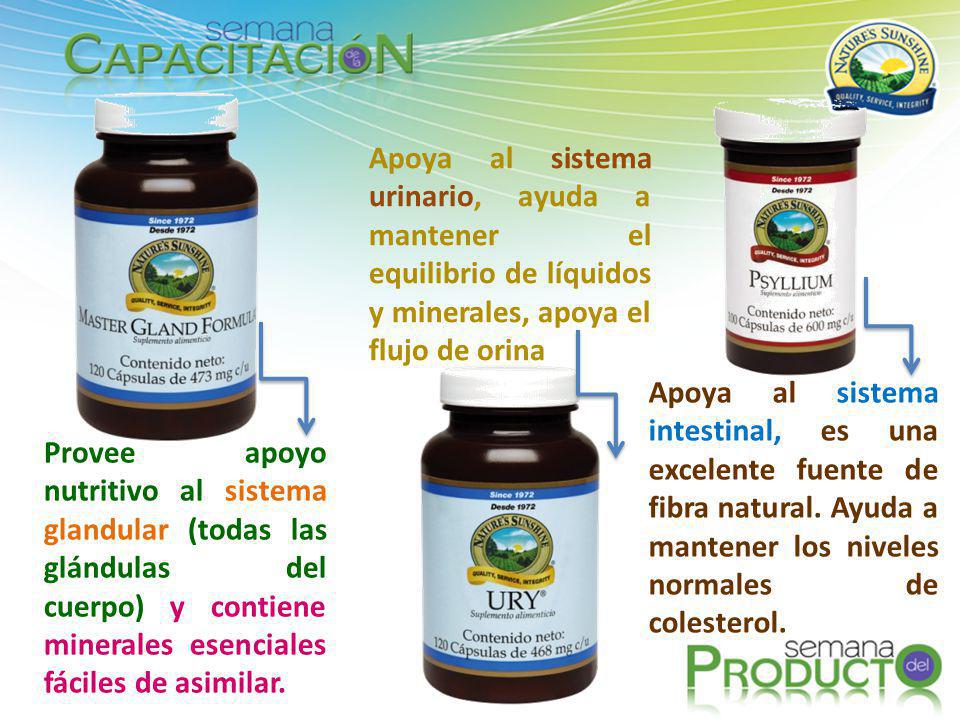 Apoya al sistema urinario, ayuda a mantener el equilibrio de líquidos y minerales, apoya el flujo de orina