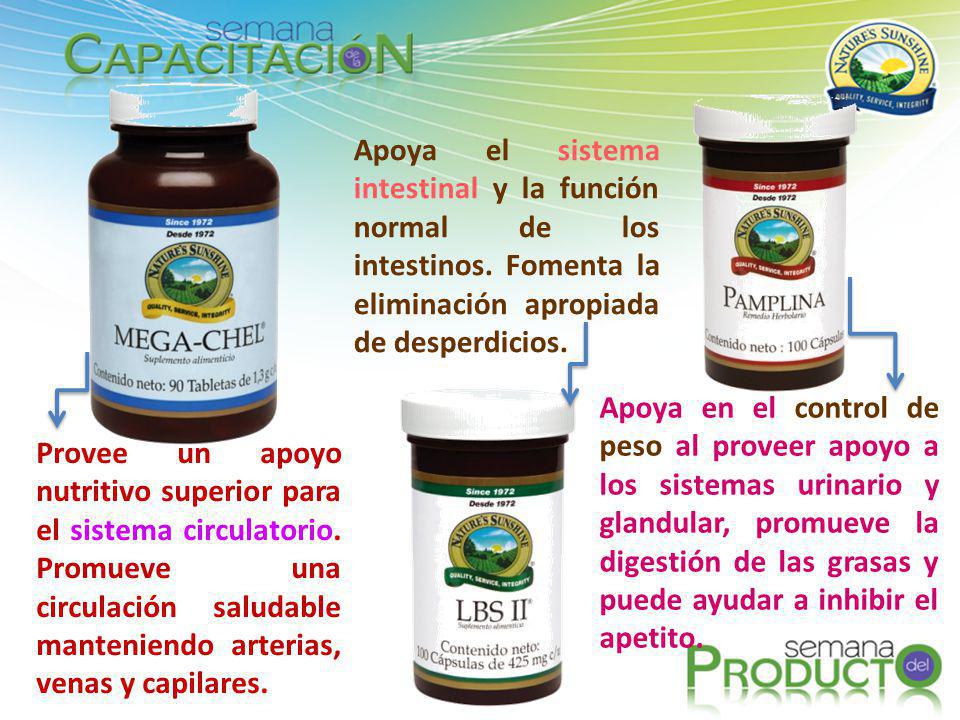 Apoya el sistema intestinal y la función normal de los intestinos