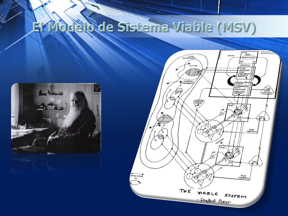 El Modelo de Sistema Viable (MSV)