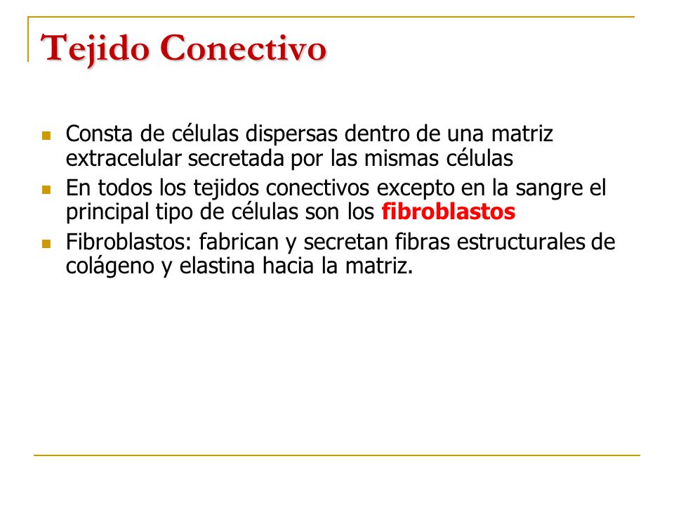Tejido Conectivo Consta de células dispersas dentro de una matriz extracelular secretada por las mismas células.