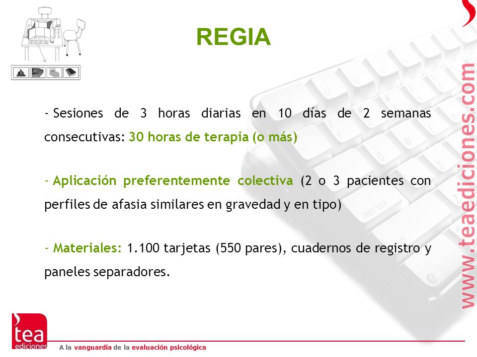 REGIA Sesiones de 3 horas diarias en 10 días de 2 semanas consecutivas: 30 horas de terapia (o más)