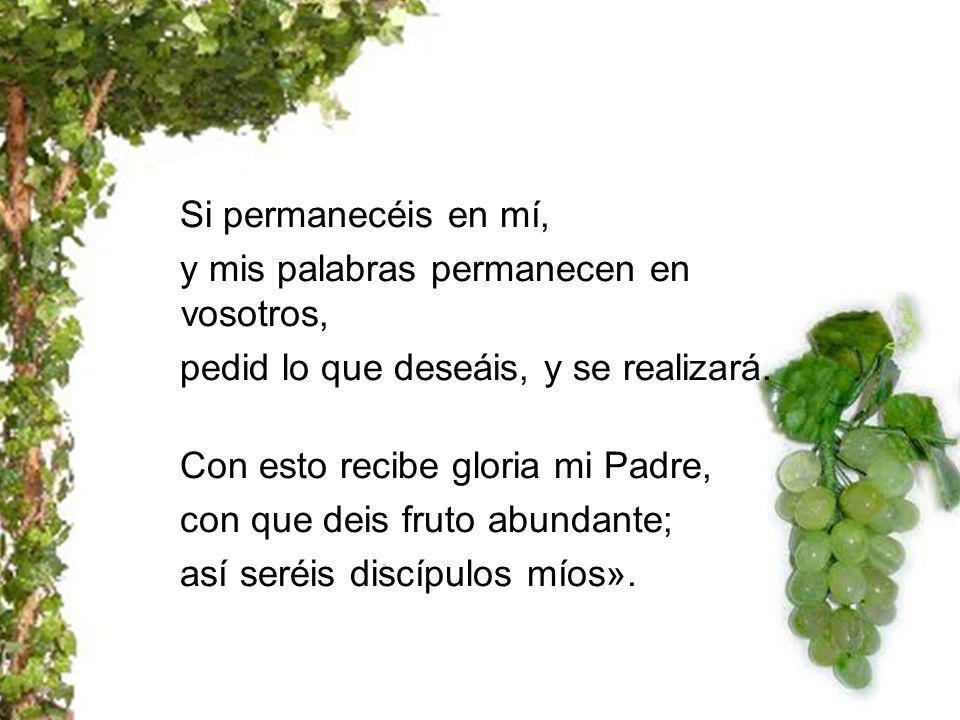 Si permanecéis en mí, y mis palabras permanecen en vosotros, pedid lo que deseáis, y se realizará.