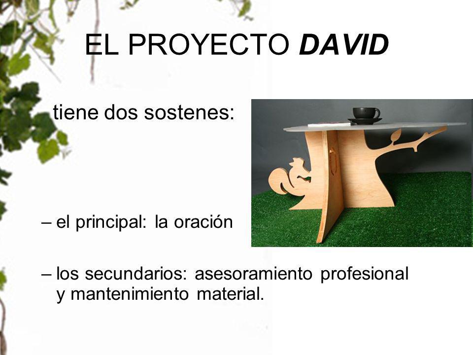 EL PROYECTO DAVID tiene dos sostenes: el principal: la oración