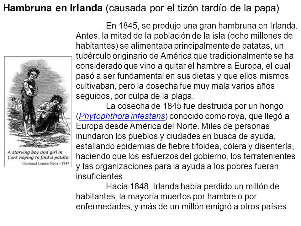 Hambruna en Irlanda (causada por el tizón tardío de la papa)