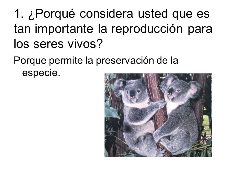 1. ¿Porqué considera usted que es tan importante la reproducción para los seres vivos