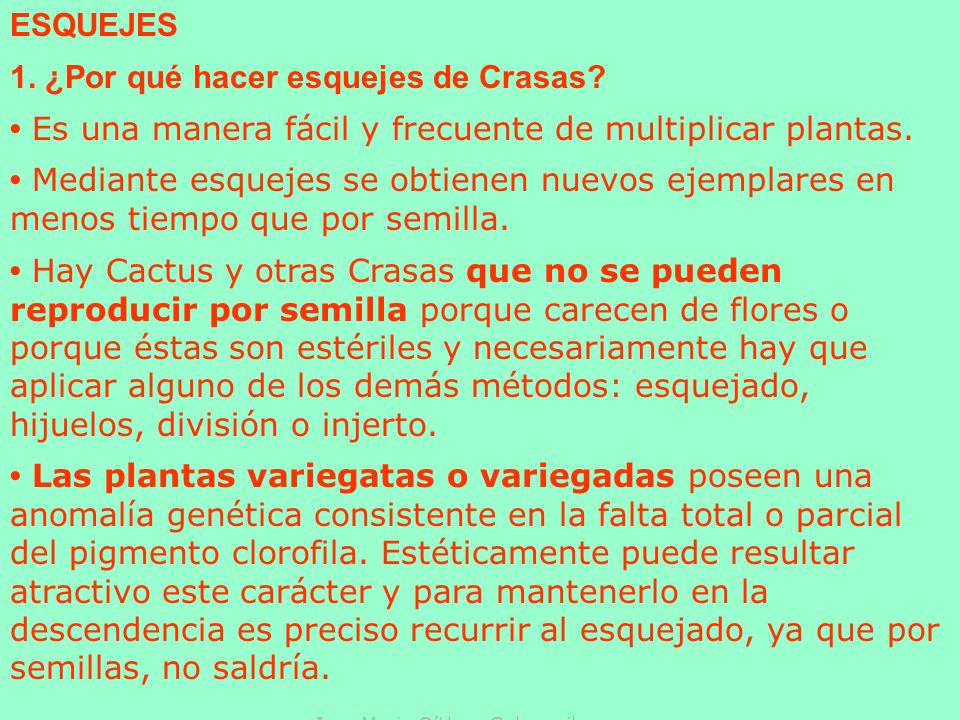ESQUEJES 1. ¿Por qué hacer esquejes de Crasas • Es una manera fácil y frecuente de multiplicar plantas.