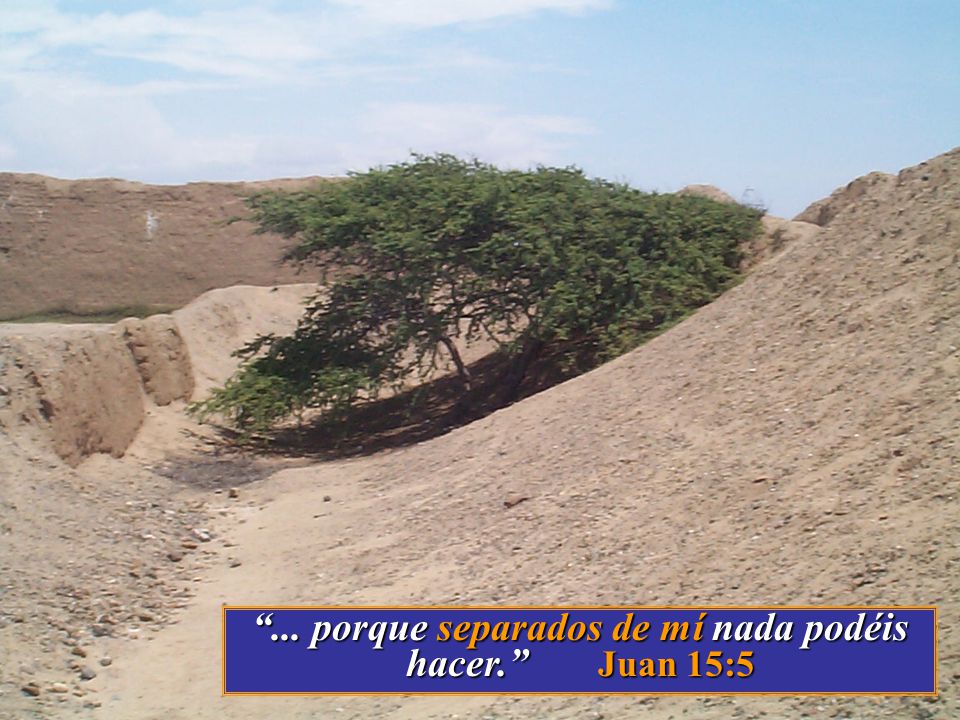 ... porque separados de mí nada podéis hacer. Juan 15:5