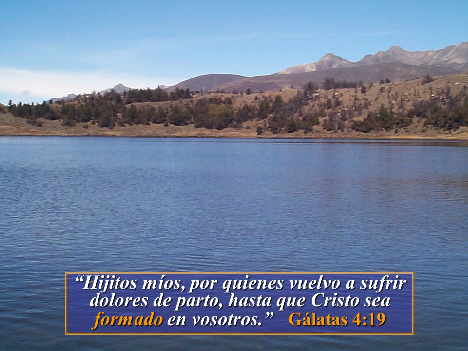 Hijitos míos, por quienes vuelvo a sufrir dolores de parto, hasta que Cristo sea formado en vosotros. Gálatas 4:19