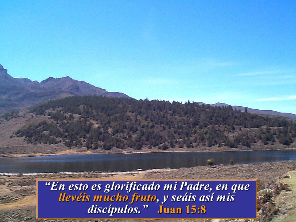 En esto es glorificado mi Padre, en que llevéis mucho fruto, y seáis así mis discípulos. Juan 15:8