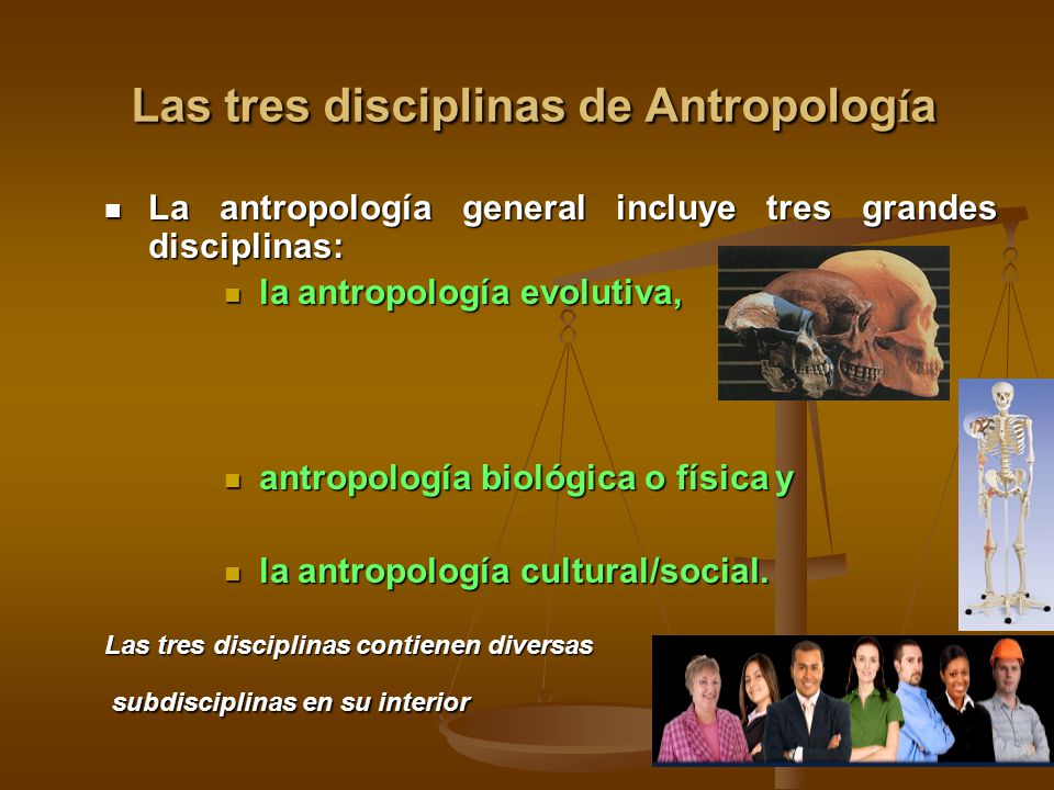 Las tres disciplinas de Antropología