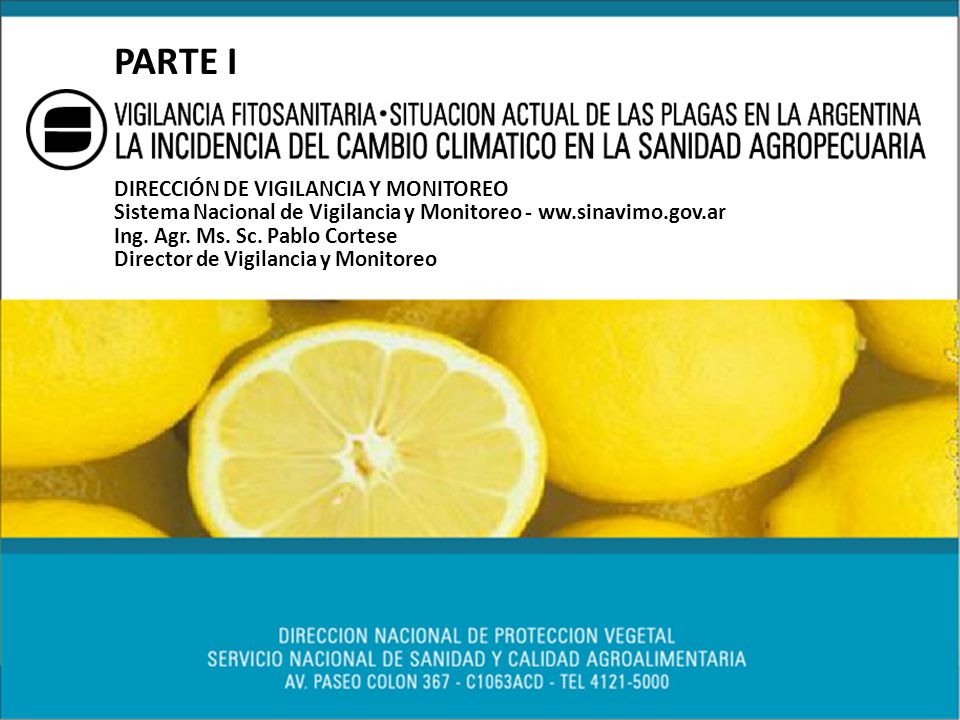 PARTE I DIRECCIÓN DE VIGILANCIA Y MONITOREO Sistema Nacional de Vigilancia y Monitoreo - ww.sinavimo.gov.ar.