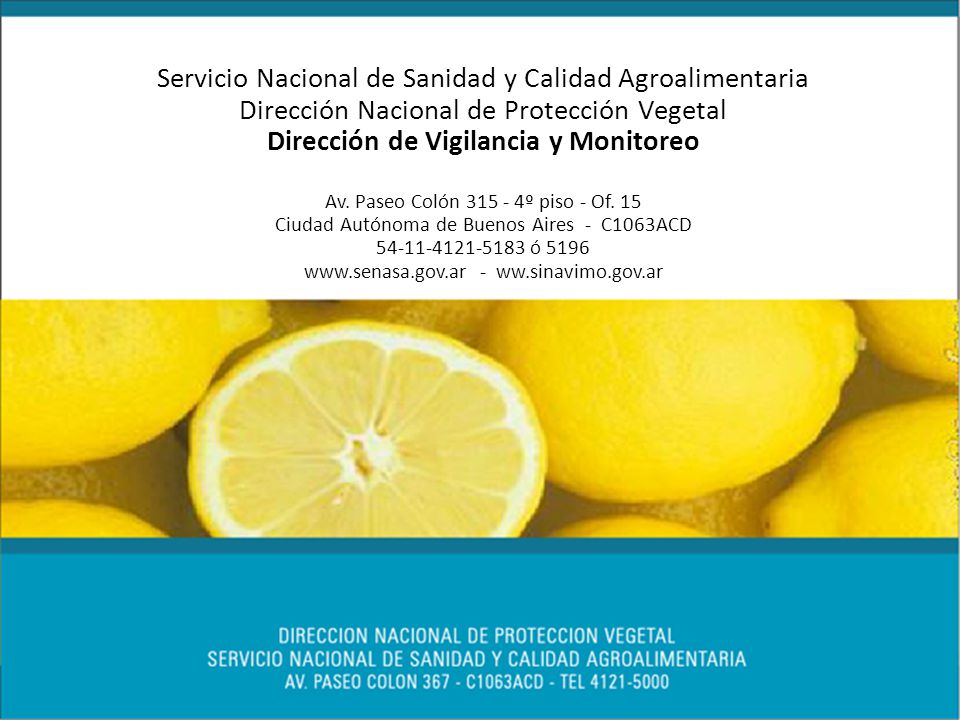 Servicio Nacional de Sanidad y Calidad Agroalimentaria Dirección Nacional de Protección Vegetal Dirección de Vigilancia y Monitoreo