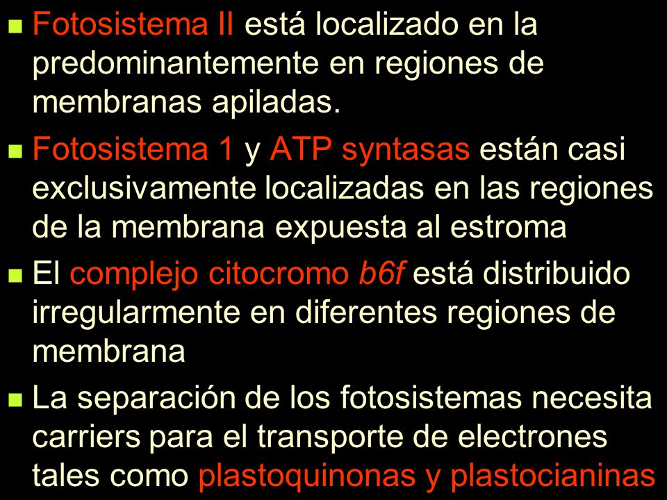 Fotosistema II está localizado en la predominantemente en regiones de membranas apiladas.