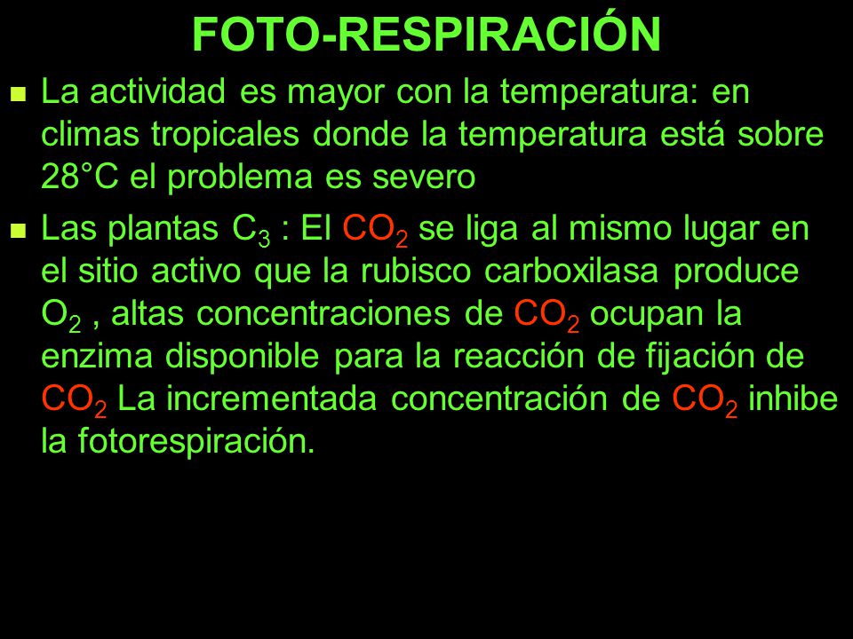 FOTO-RESPIRACIÓN La actividad es mayor con la temperatura: en climas tropicales donde la temperatura está sobre 28°C el problema es severo.
