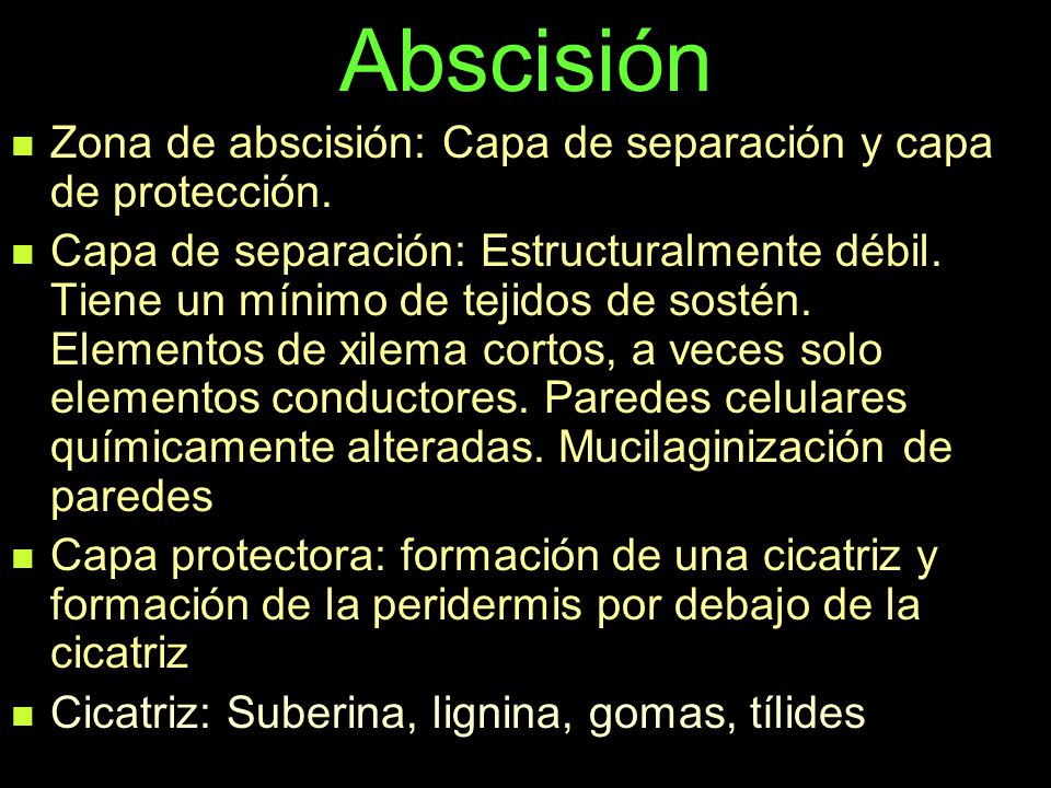 Abscisión Zona de abscisión: Capa de separación y capa de protección.