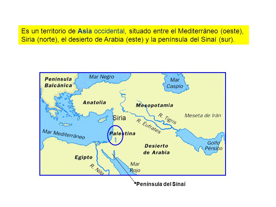Es un territorio de Asia occidental, situado entre el Mediterráneo (oeste), Siria (norte), el desierto de Arabia (este) y la península del Sinaí (sur).