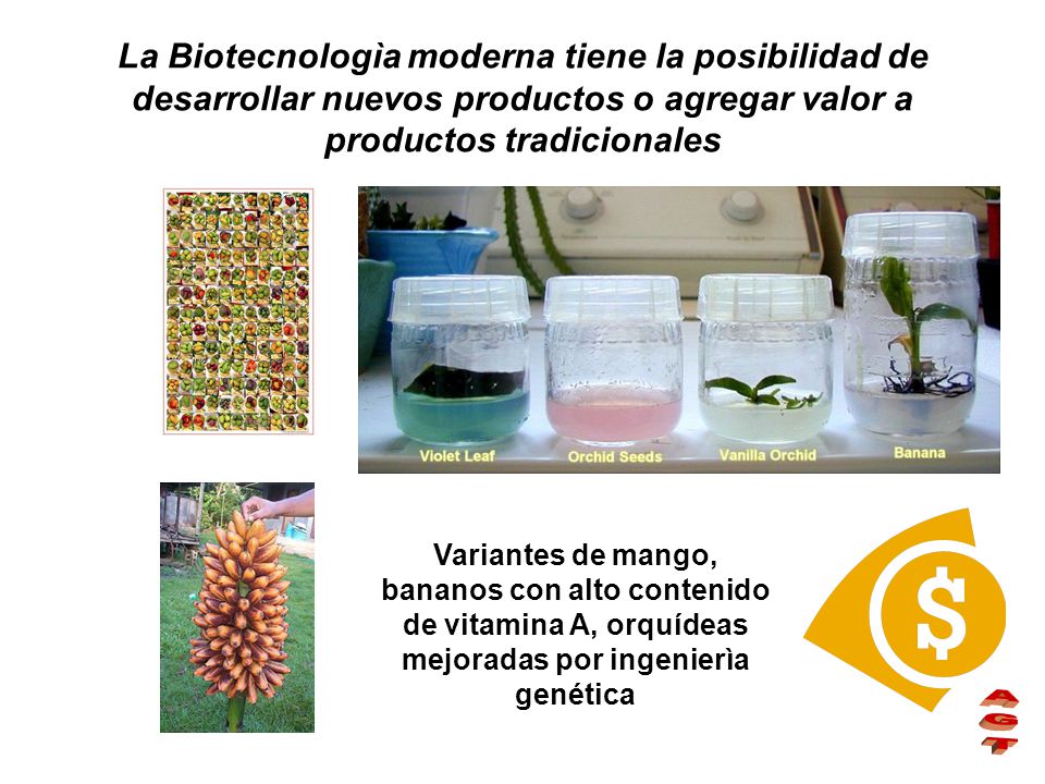 La Biotecnologìa moderna tiene la posibilidad de desarrollar nuevos productos o agregar valor a productos tradicionales