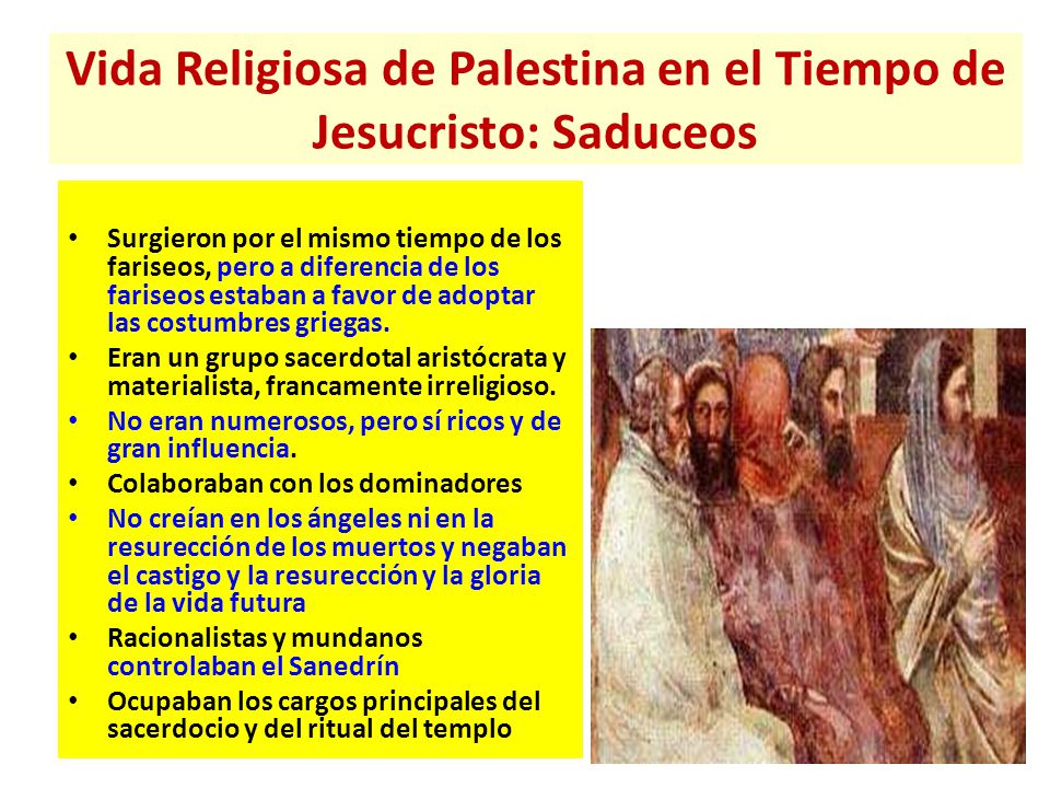 Vida Religiosa de Palestina en el Tiempo de Jesucristo: Saduceos