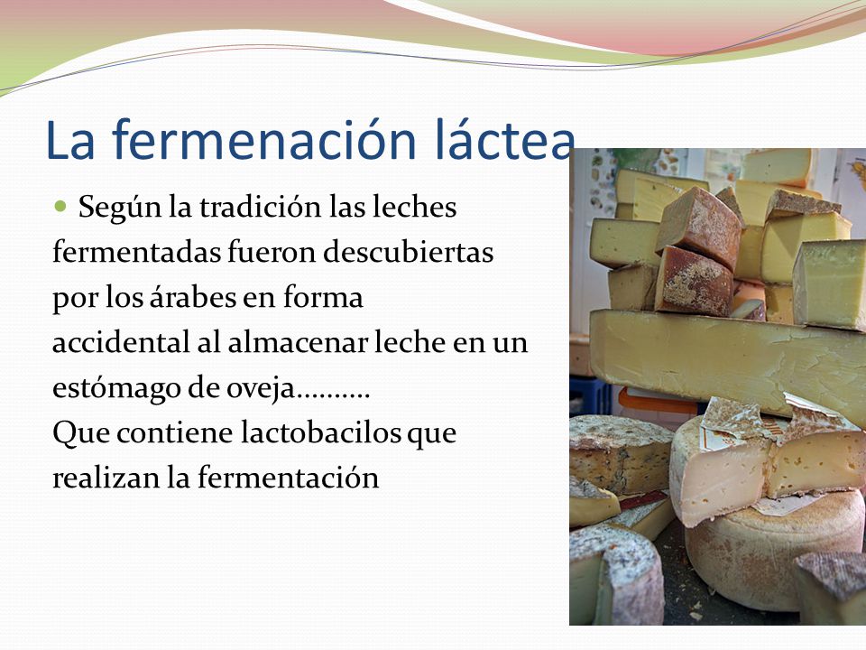 La fermenación láctea Según la tradición las leches