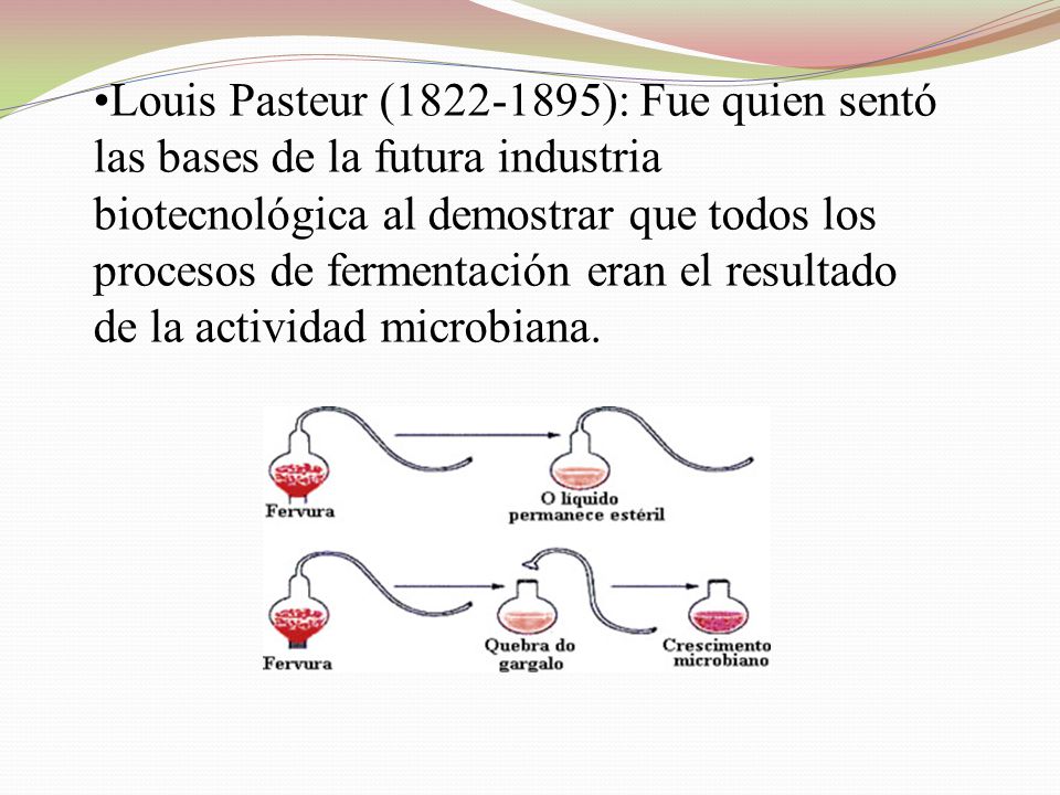 Louis Pasteur ( ): Fue quien sentó las bases de la futura industria biotecnológica al demostrar que todos los procesos de fermentación eran el resultado de la actividad microbiana.