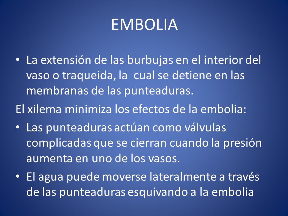 EMBOLIA La extensión de las burbujas en el interior del vaso o traqueida, la cual se detiene en las membranas de las punteaduras.