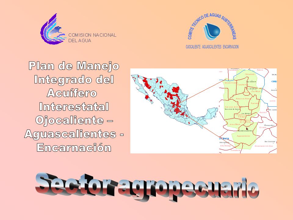 Plan de Manejo Integrado del. Acuífero. Interestatal. Ojocaliente – Aguascalientes - Encarnación.