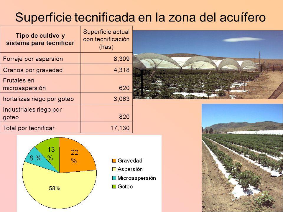 Tipo de cultivo y sistema para tecnificar