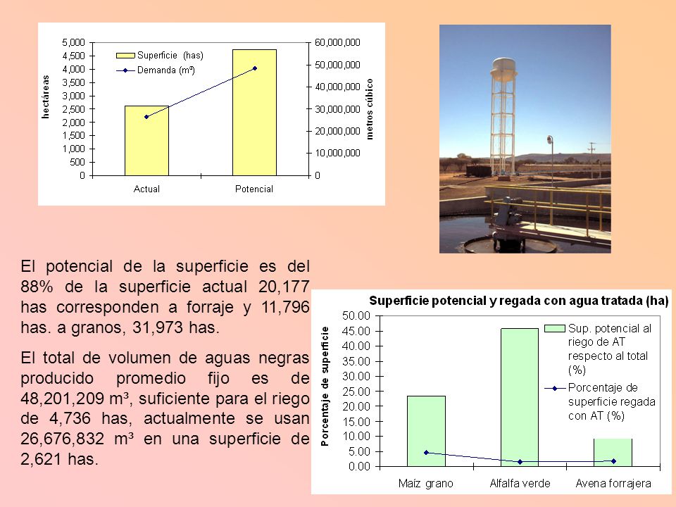 El potencial de la superficie es del 88% de la superficie actual 20,177 has corresponden a forraje y 11,796 has. a granos, 31,973 has.