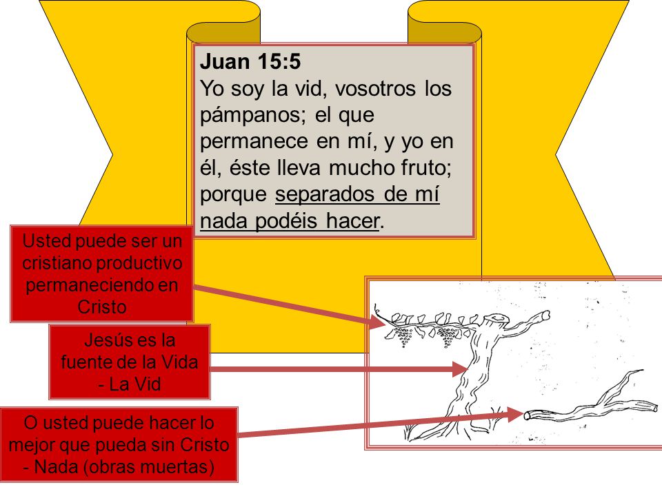 Juan 15:5 Yo soy la vid, vosotros los pámpanos; el que permanece en mí, y yo en él, éste lleva mucho fruto; porque separados de mí nada podéis hacer.