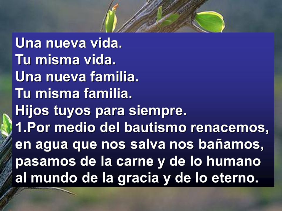 Una nueva vida. Tu misma vida. Una nueva familia. Tu misma familia. Hijos tuyos para siempre. 1.Por medio del bautismo renacemos,