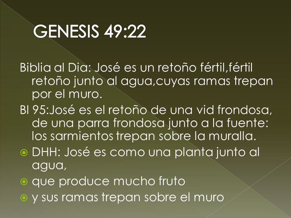 GENESIS 49:22 Biblia al Dia: José es un retoño fértil,fértil retoño junto al agua,cuyas ramas trepan por el muro.