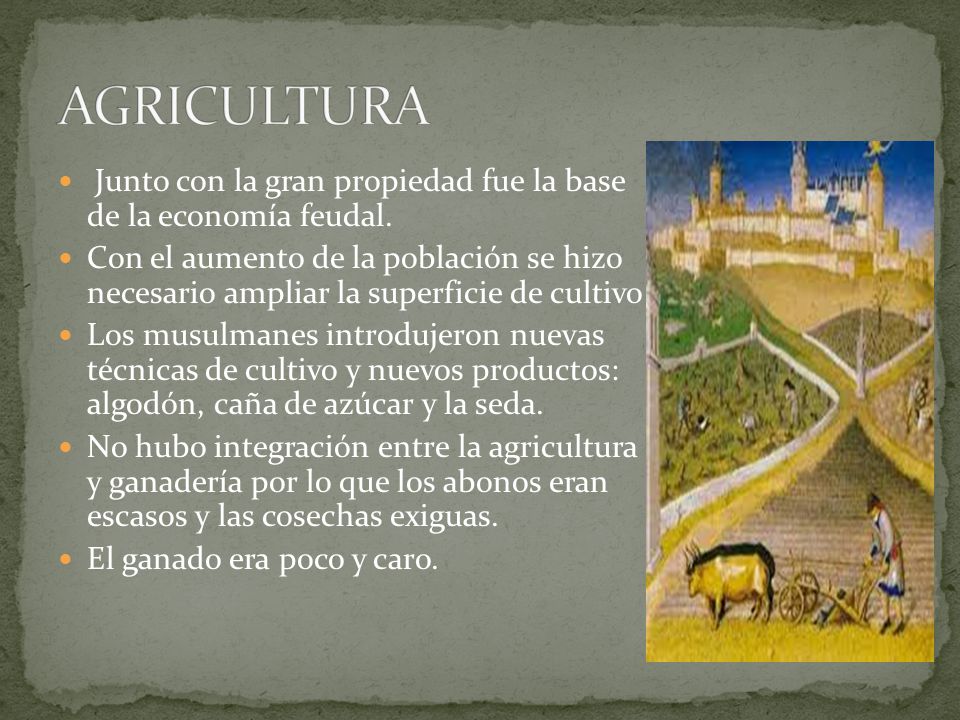AGRICULTURA Junto con la gran propiedad fue la base de la economía feudal.