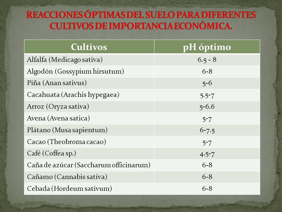 REACCIONES ÓPTIMAS DEL SUELO PARA DIFERENTES CULTIVOS DE IMPORTANCIA ECONÓMICA.