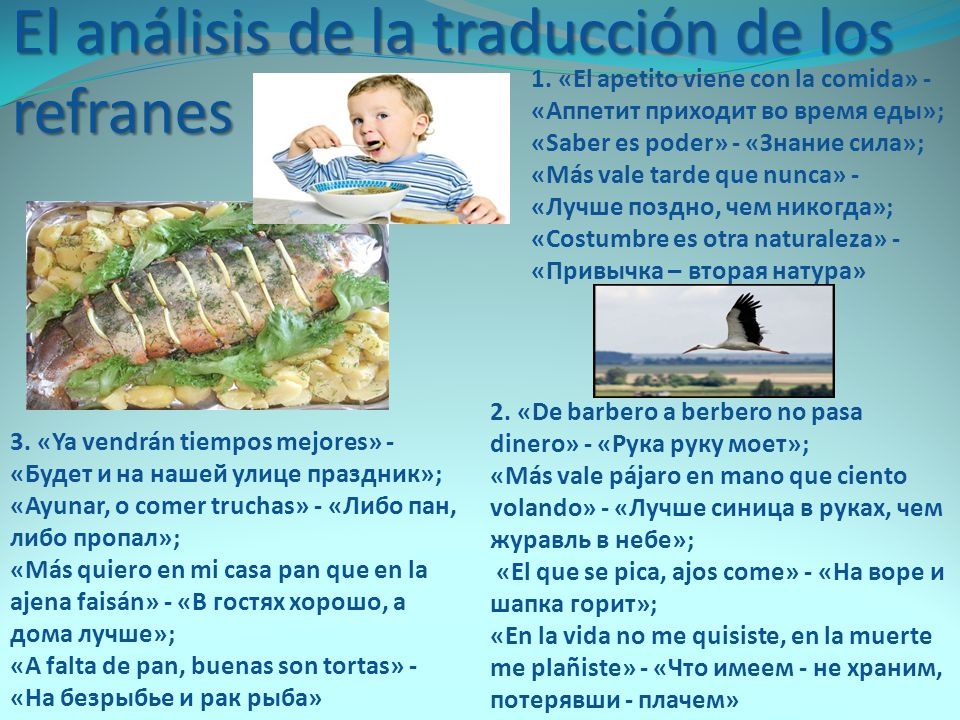 El análisis de la traducción de los refranes