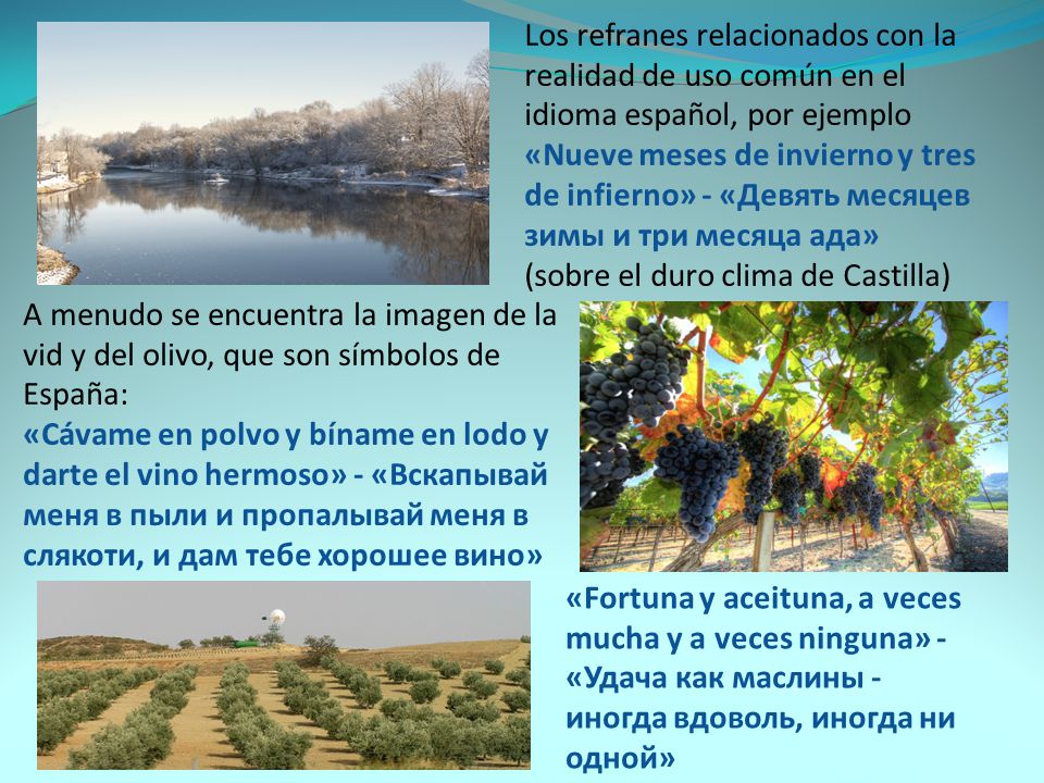 Los refranes relacionados con la realidad de uso común en el idioma español, por ejemplo