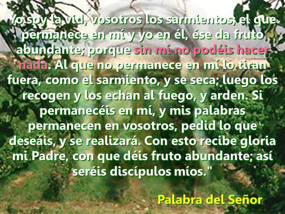 Yo soy la vid, vosotros los sarmientos; el que permanece en mí y yo en él, ése da fruto abundante; porque sin mí no podéis hacer nada. Al que no permanece en mí lo tiran fuera, como el sarmiento, y se seca; luego los recogen y los echan al fuego, y arden. Si permanecéis en mí, y mis palabras permanecen en vosotros, pedid lo que deseáis, y se realizará. Con esto recibe gloria mi Padre, con que déis fruto abundante; así seréis discípulos míos.