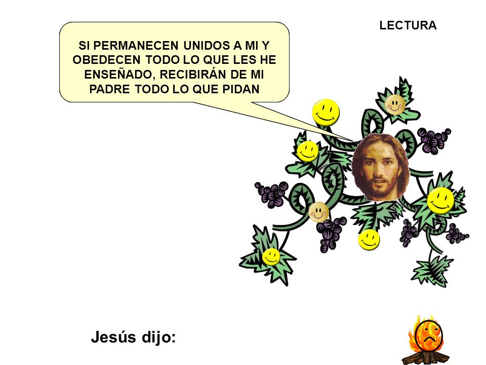 Jesús dijo: EL QUE PERMANECE EN MI DA MUCHO FRUTO