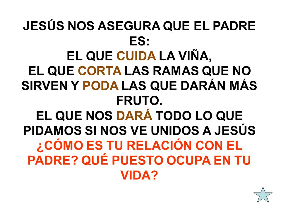 JESÚS NOS ASEGURA QUE EL PADRE ES: EL QUE CUIDA LA VIÑA,