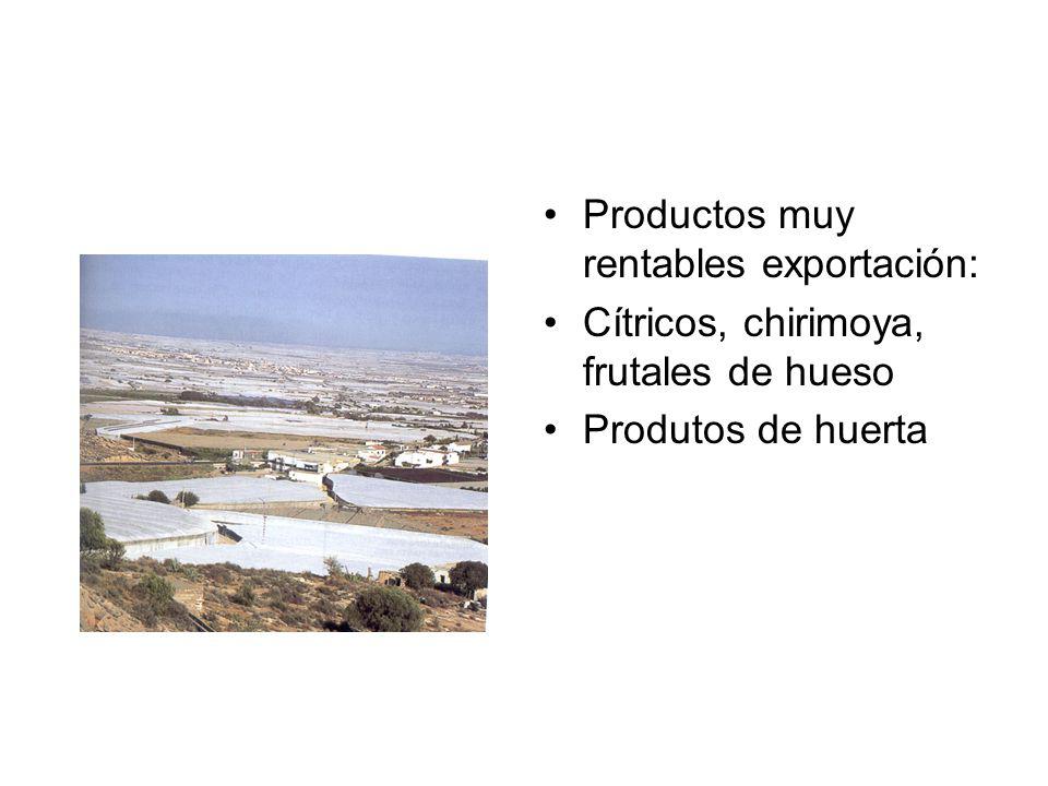 Productos muy rentables exportación:
